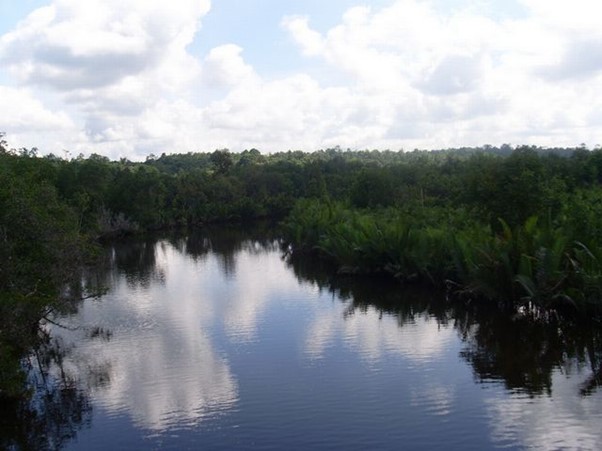 Desa Wisata Sungai Wain Paru-Paru Kota Balikpapan